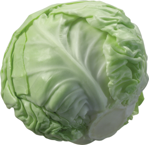 Cabbage PNG image-8798